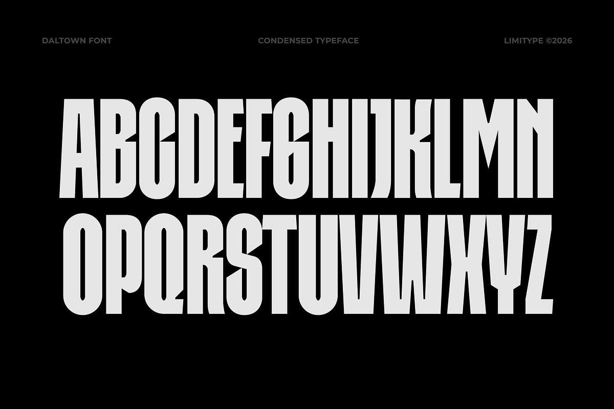 Daltown - Bold Condensed Font, a Sans Serif Font by limitype (Photo 7 of 12)