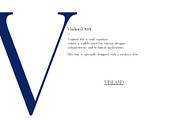 Vinland Serif, a Serif Font by Teweka (Thumbnail 4 of 9)