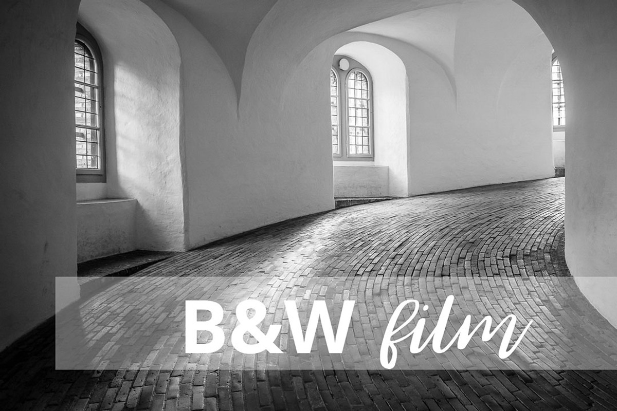 Black and White Film Presets preview 3