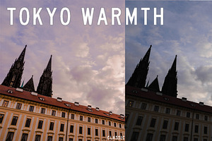 Tokyo Warmth Lightroom Presets