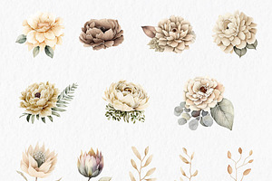 Beige Flowers Watercolor Clipart PNG