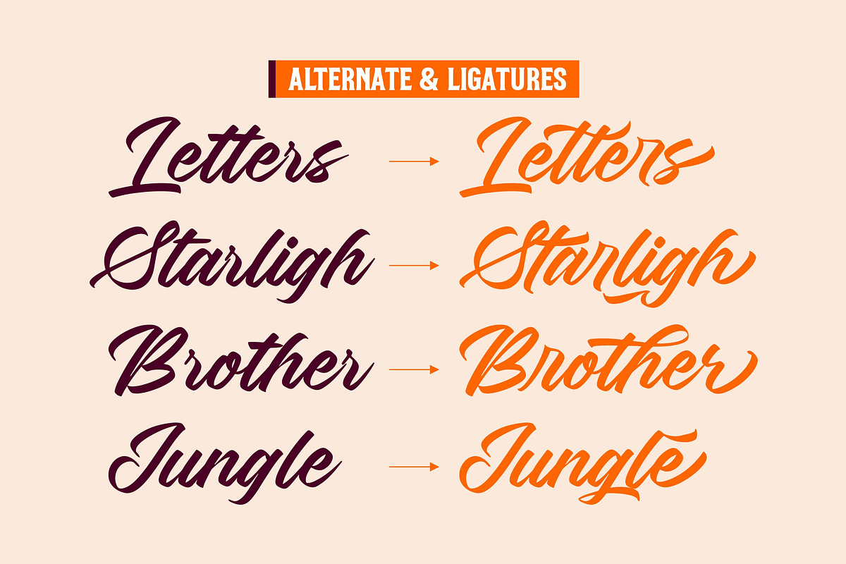 Barty Stones - Awesome Script, a Script Font by ErgibiStudio (Photo 9 of 10)