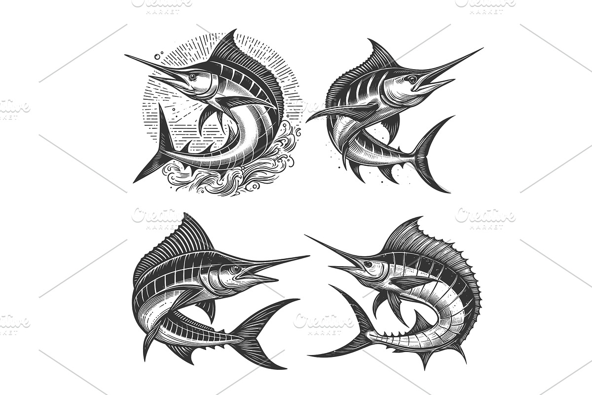 marlin fish engraving set vector, an Animal Illustration by AlexArt
