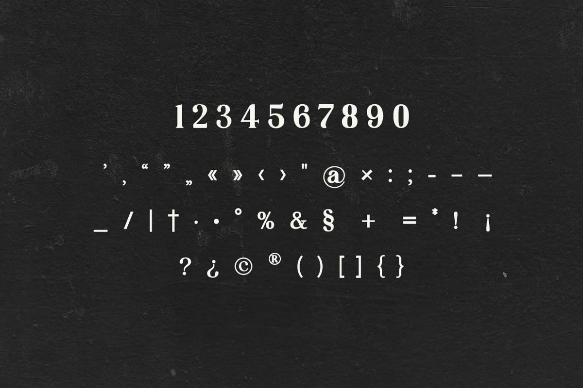 Silvex Editorial Serif Family Font, a Serif Font by UICreative (Photo 6 of 13)