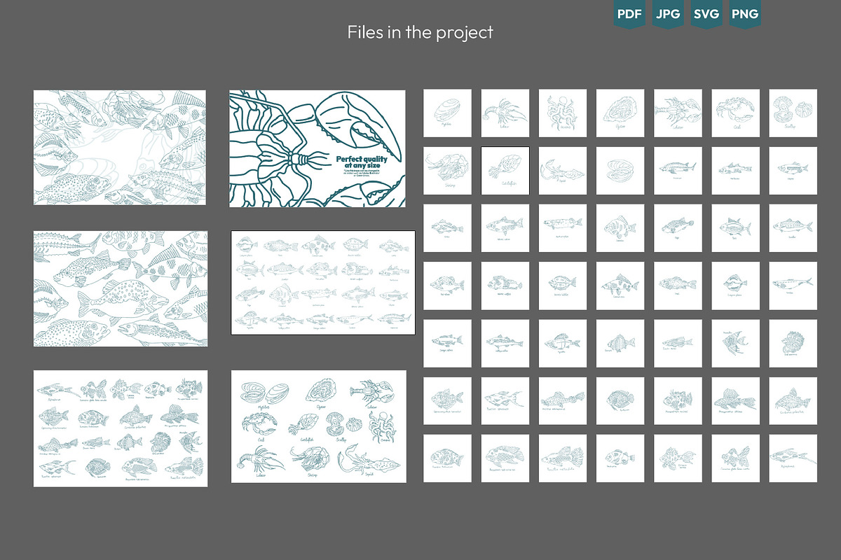 Seafood & Fish Vector Pack, an Animal Illustration by Ilia Design (Photo 9 of 10)