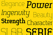 SomaSlab, a Slab Serif Font by ArtyType (Thumbnail 1 of 5)
