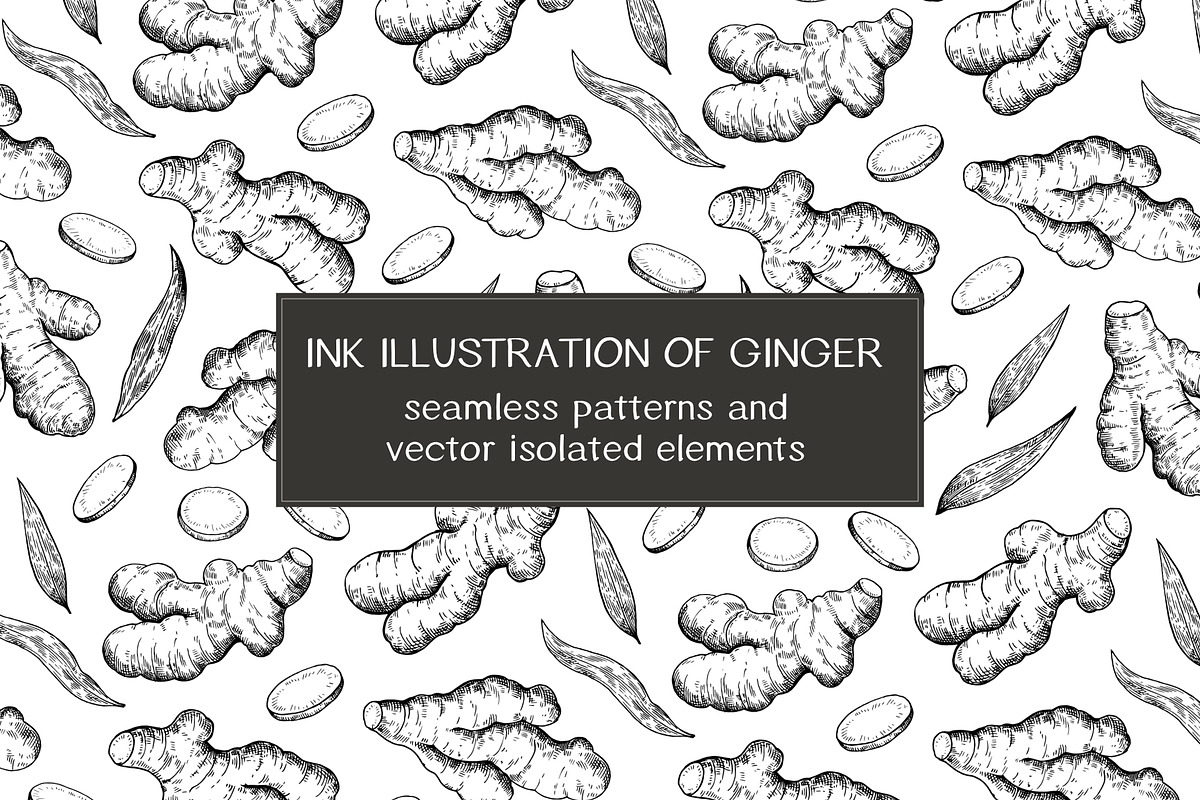 Ink illustration of ginger roots, a Food Illustration by Robusta (Photo 1 of 4)