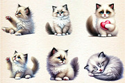 Watercolor Ragdoll Cat Sublimation, a Seasonal Illustration by DreamArtGraphic (Thumbnail 2 of 5)