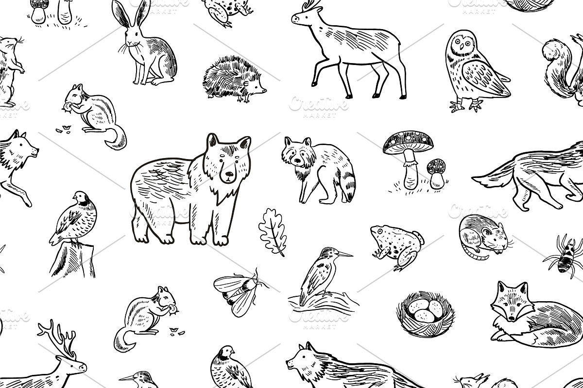 Woodland Alphabet, an Animal Illustration by GooseFrol (Photo 10 of 10)