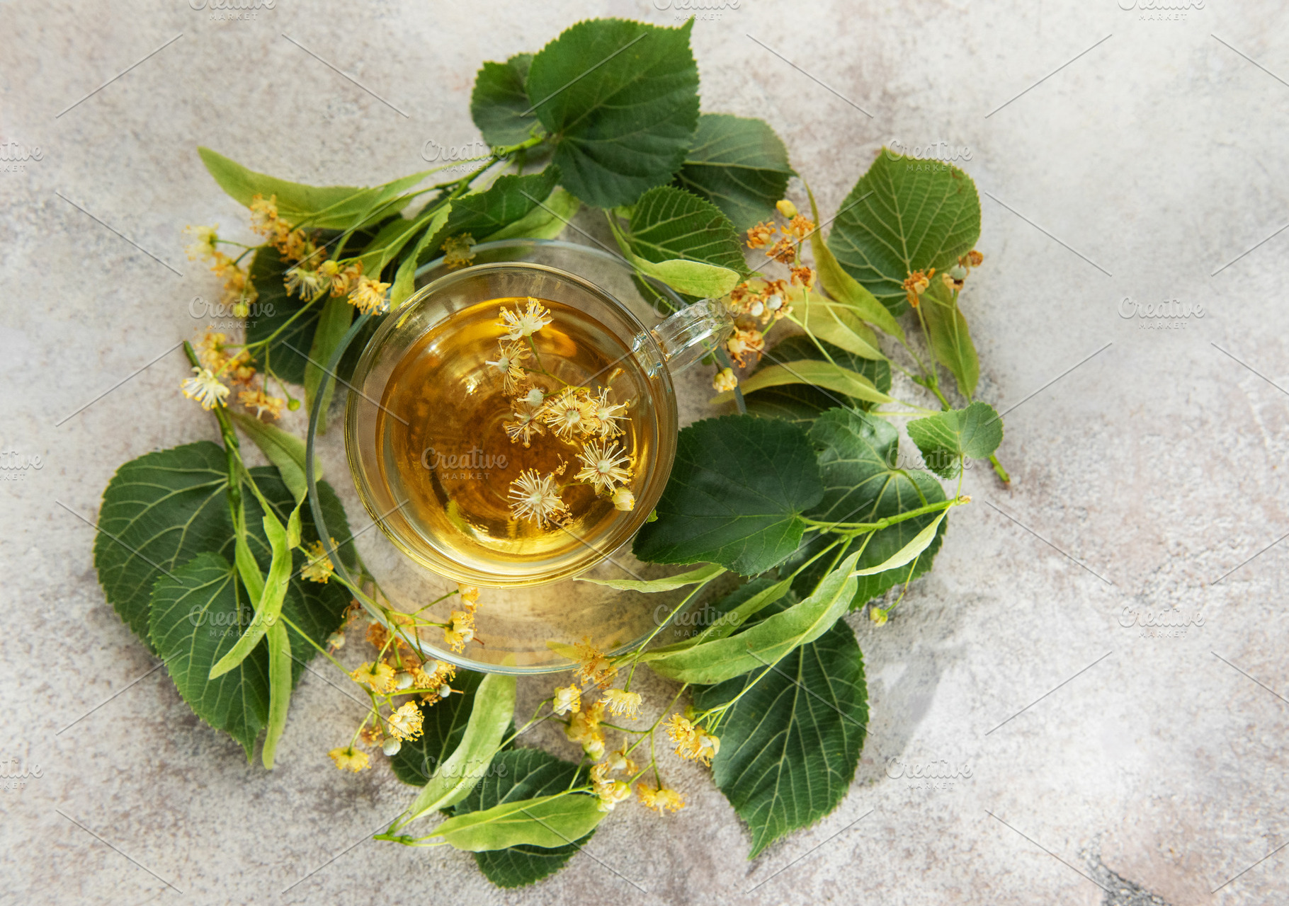 Linden tea with fresh tilia flowers and leaves, a Food & Drink Photo by Olena Rudo