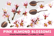 Pink almond blossoms, an Object Graphic by Fruits+Veggies (Thumbnail 1 of 9)