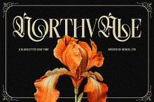 Northvale Blackletter Serif Font