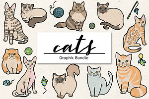 Cats - Graphic Bundle