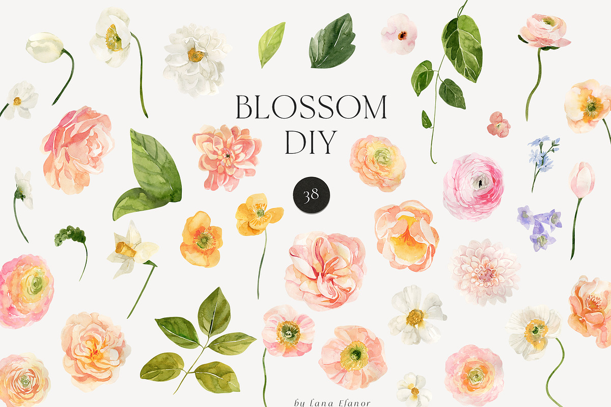 BLOSSOM Spring Watercolor Flowers, a Decorative Illustration by Lana Elanor (Photo 8 of 12)