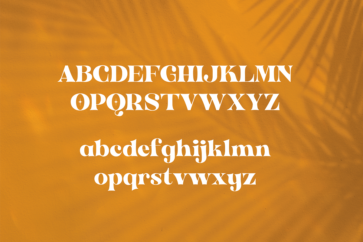Antigua - Tropical Display, a Serif Font by HipFonts (Photo 2 of 11)