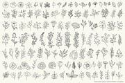 Big Set of Vector Floral Elements, a Decorative Illustration by FourLeafLover (Thumbnail 2 of 18)