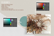 Isolated Gallery Wall Mockup, a Print Template by Dorado Stock (Thumbnail 3 of 6)
