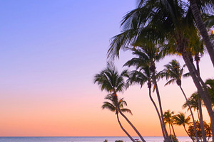 Tropical Beach with Vibrant Sunset, a Background Photo by kristiangallagher