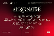 ALICENT HIGHTOWER SERIF DISPLAY, a Serif Font by Tegh co. (Thumbnail 9 of 16)