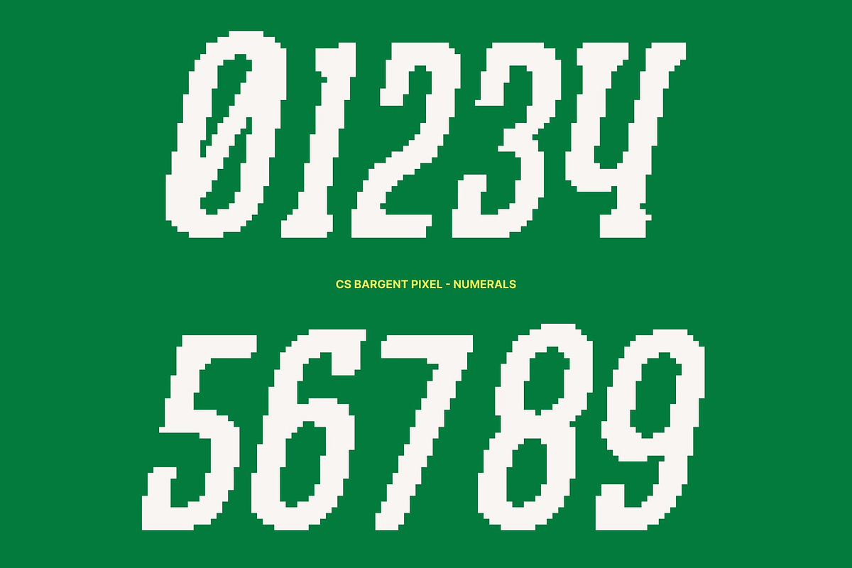 CS Bargent Pixel, a Slab Serif Font by Craft Supply Co. (Photo 3 of 8)