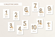 Boho Animals, Alphabet, Patterns, an Object Graphic by NinaFedorova (Thumbnail 9 of 13)