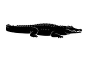 Crocodile Alligator Vector Bundle, an Illustration by jahid234 (Thumbnail 15 of 51)
