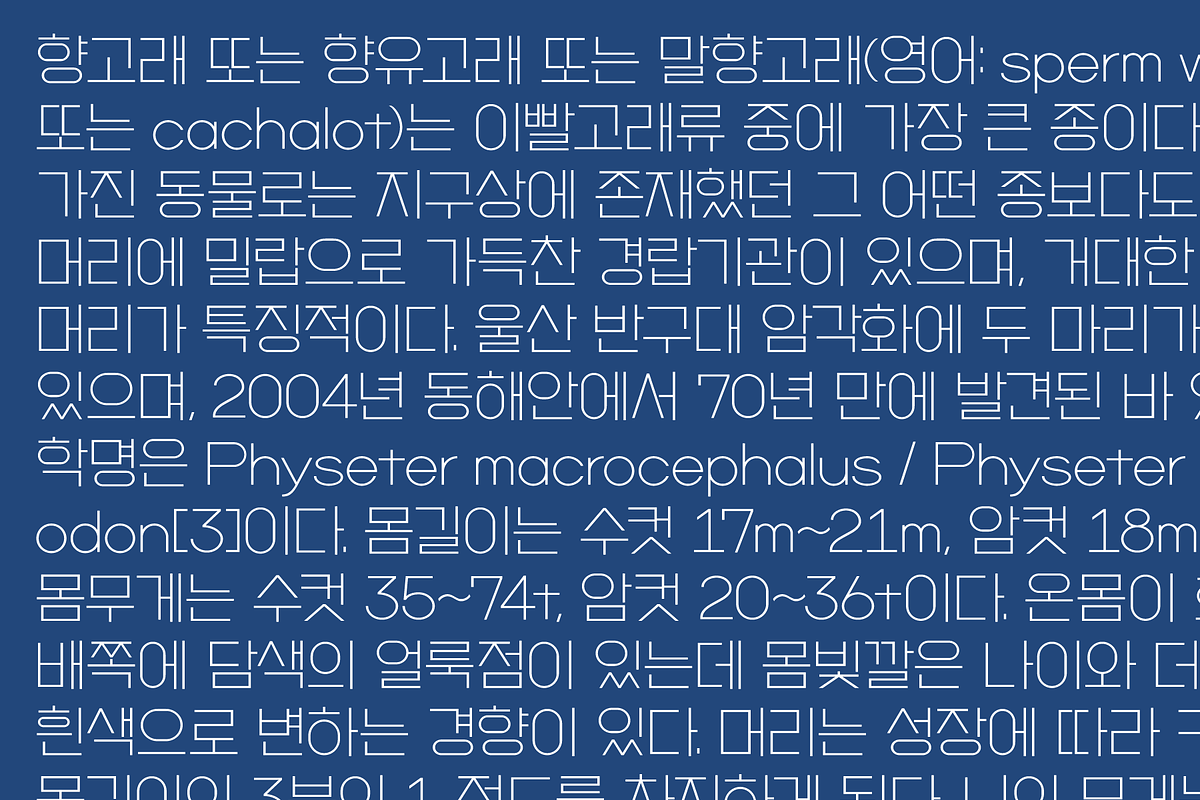 HU Mobydick KR / 20% OFF, a Sans Serif Font by heummdesign (Photo 4 of 6)