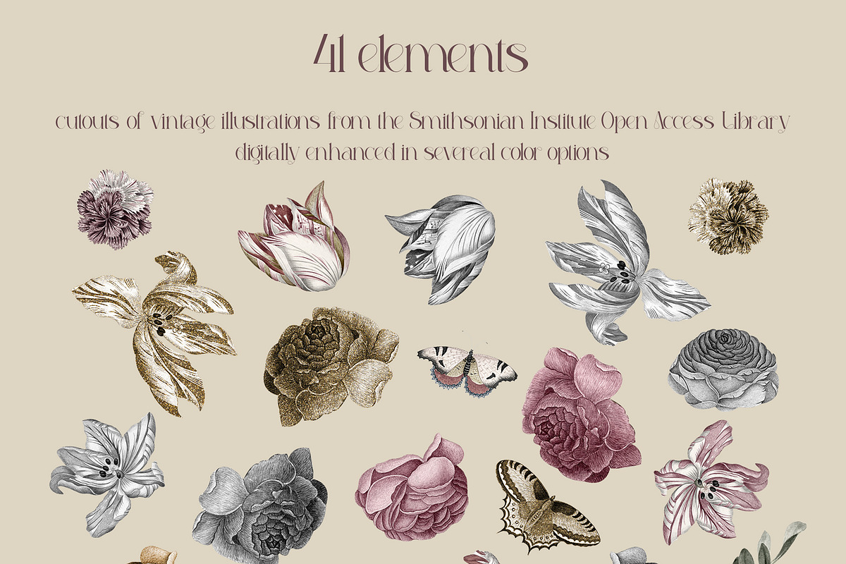 Royal Collage Vintage Botanicals, an Object Graphic by Catch the Dream Art (Photo 6 of 10)