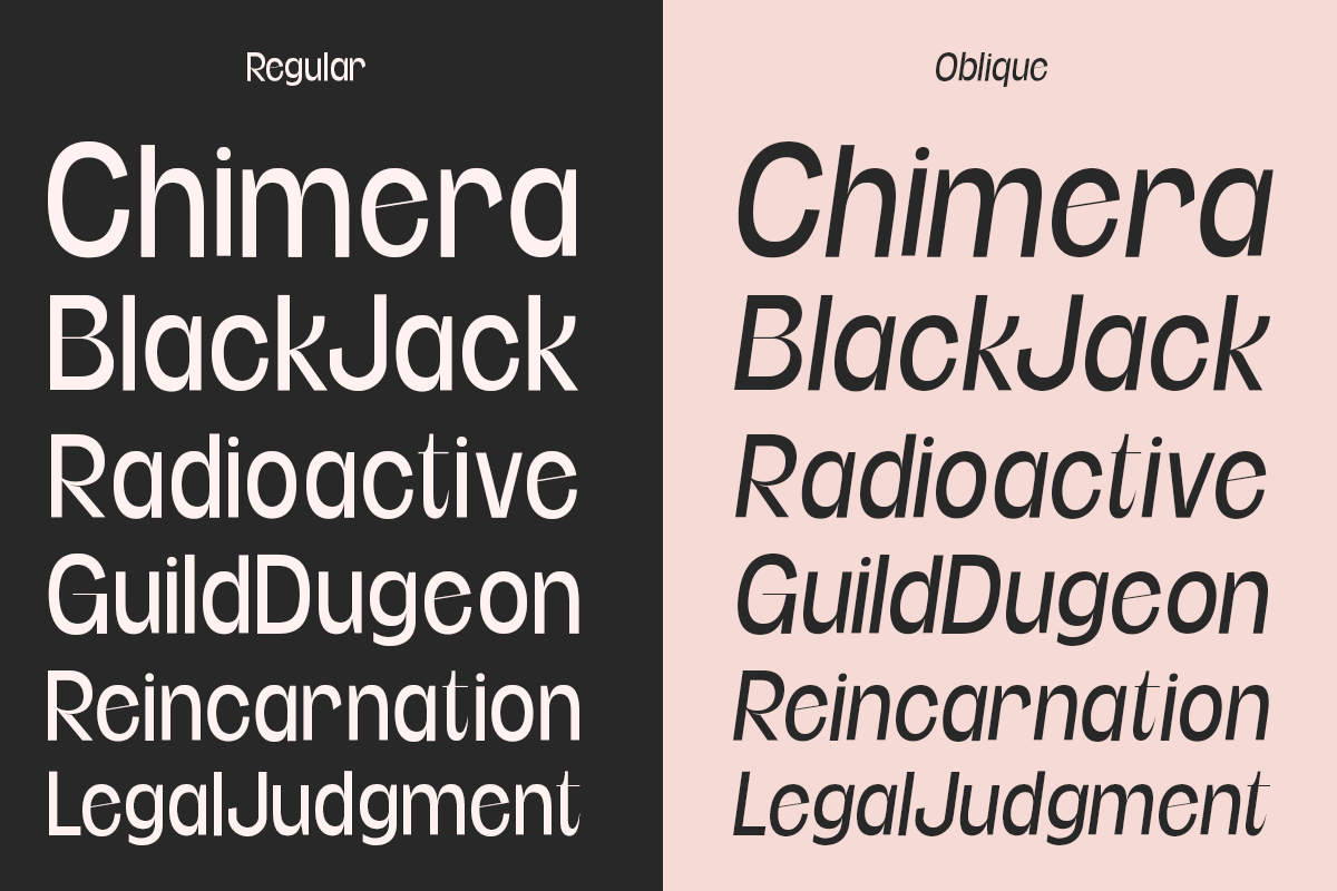 Etnier - 14 Modern Family, a Sans Serif Font by Dharmas Foundry (Photo 10 of 17)
