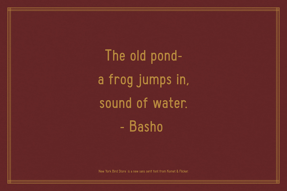 New York Bird Store, a Sans Serif Font by Komet & Flicker (Photo 3 of 13)