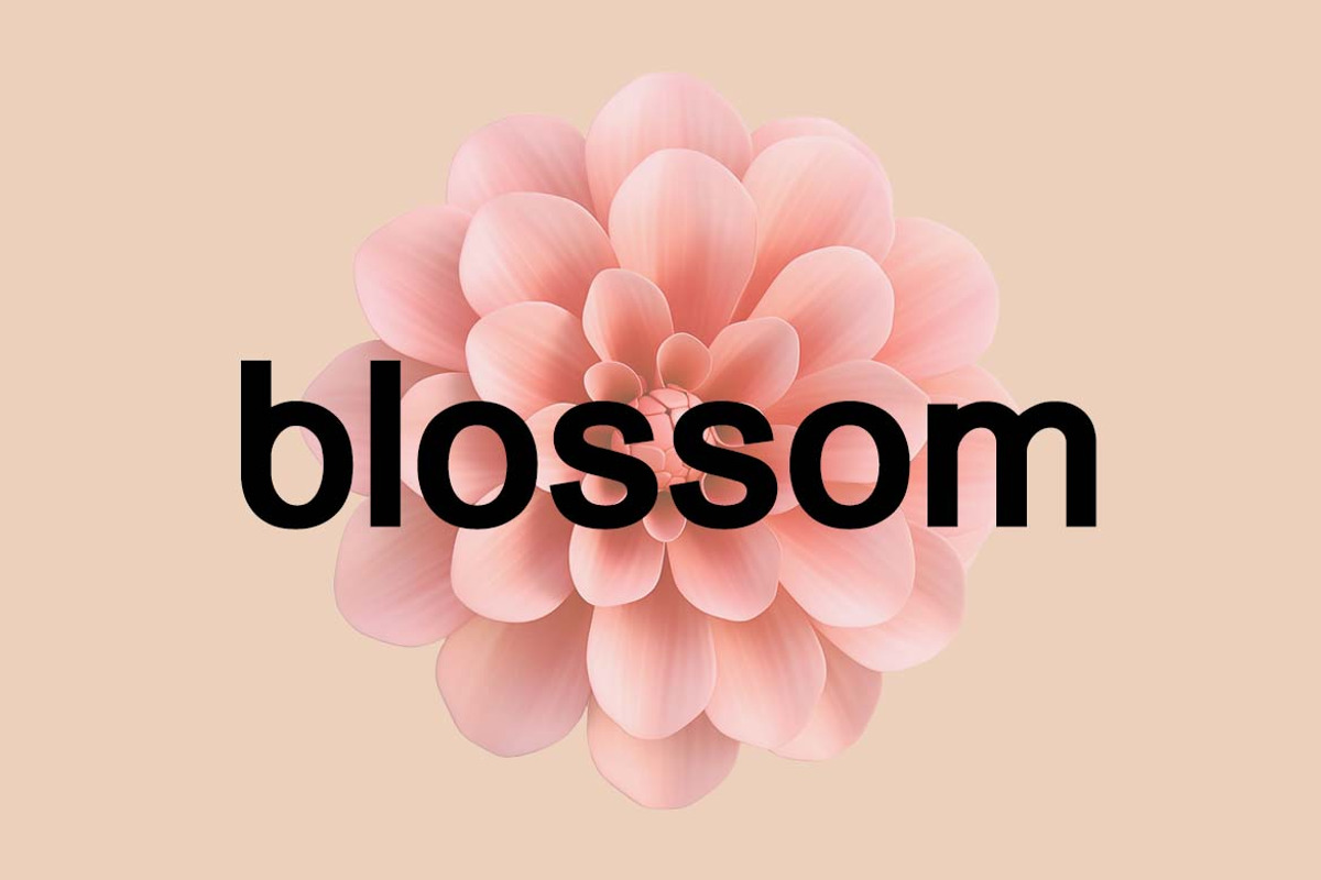 Forehands Rounded Elegant Sans Serif, a Sans Serif Font by UICreative (Photo 4 of 13)