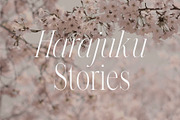 Felix - Condensed Display Serif Font, a Serif Font by Studio Aurora (Thumbnail 3 of 10)