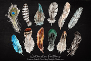 Natural Watercolor Feathers, an Illustration by Amanda Ilkov (Thumbnail 2 of 3)