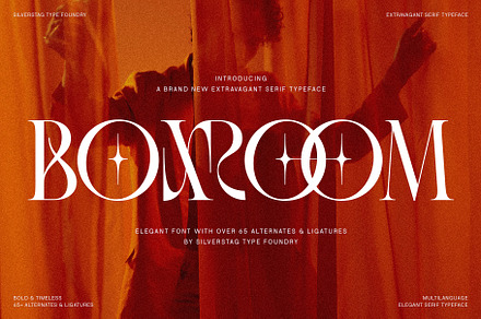 SLTF BOXROOM - Modern Serif Typeface, a Serif Font by SilverStag Type Foundry
