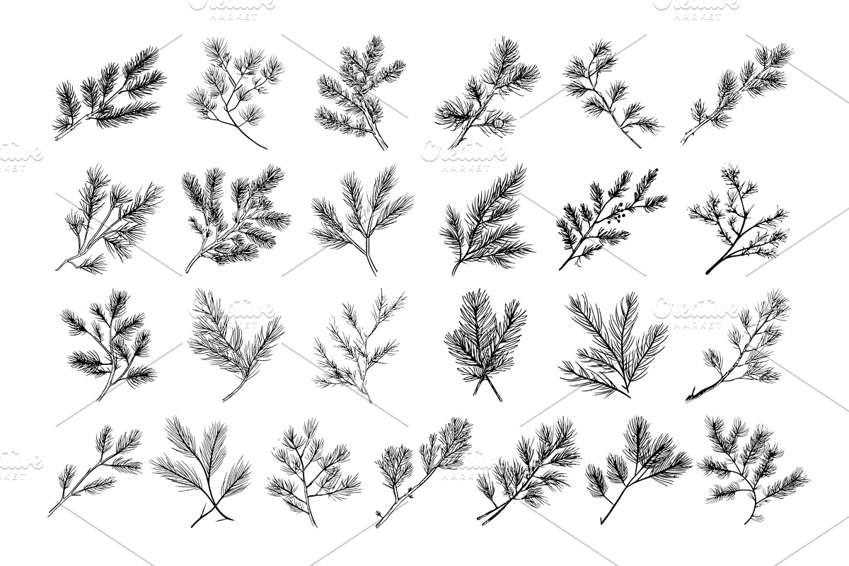 50 Pine brunch Procreate Stamps, a Brush Add-On by Procreate Sale (Photo 4 of 6)