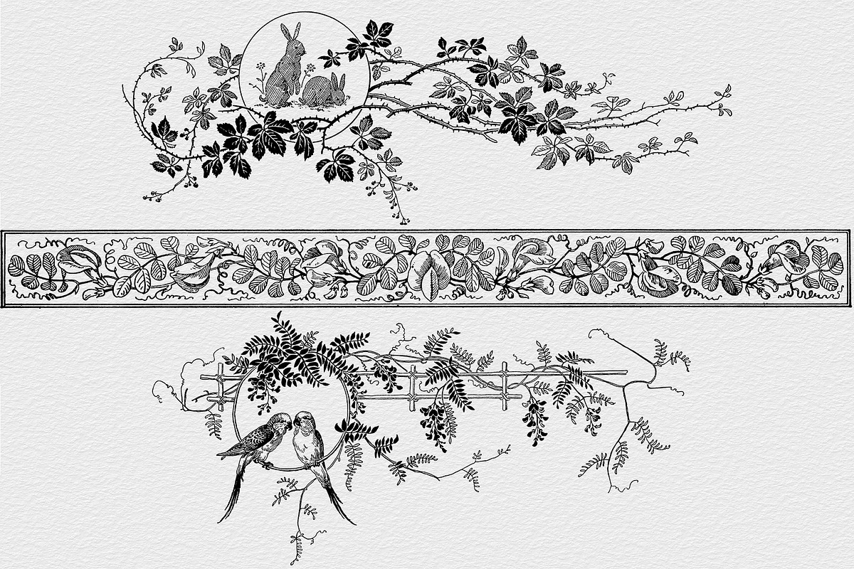 Procreate Vintage Nature Borders, a Brush Add-On by AW Studios (Photo 2 of 9)