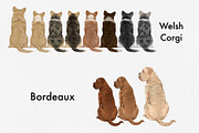 Watercolor dog breed clipart, an Animal Illustration by ColorfulPT (Thumbnail 4 of 8)