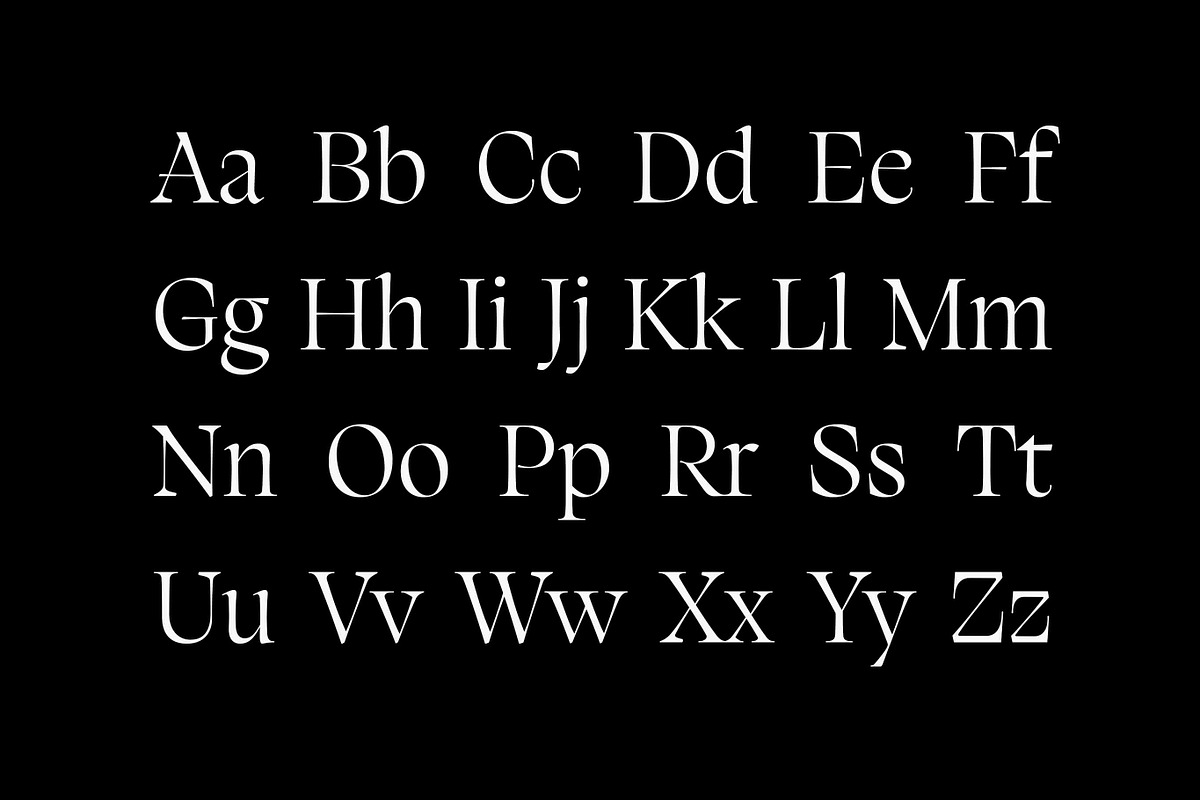 Silene - Elegant Serif Typeface, a Serif Font by Piotr Łapa (Photo 4 of 12)