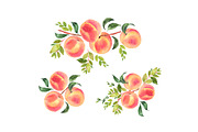 Peaches watercolor clipart, a Food Illustration by AnnelyBlooms (Thumbnail 3 of 6)