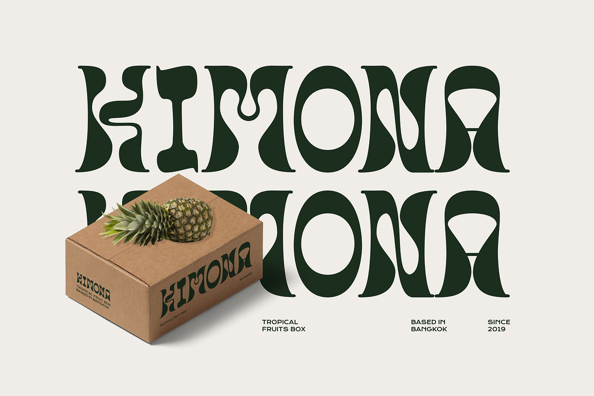 Tandsok - Experimental Display Font, a Serif Font by Imoodev (Photo 2 of 5)