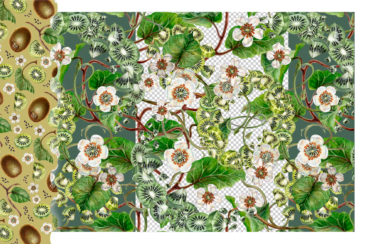 KIWI PATTERNS, botanical watercolor, a Decorative Illustration by EL_SUHOVA (Photo 7 of 13)