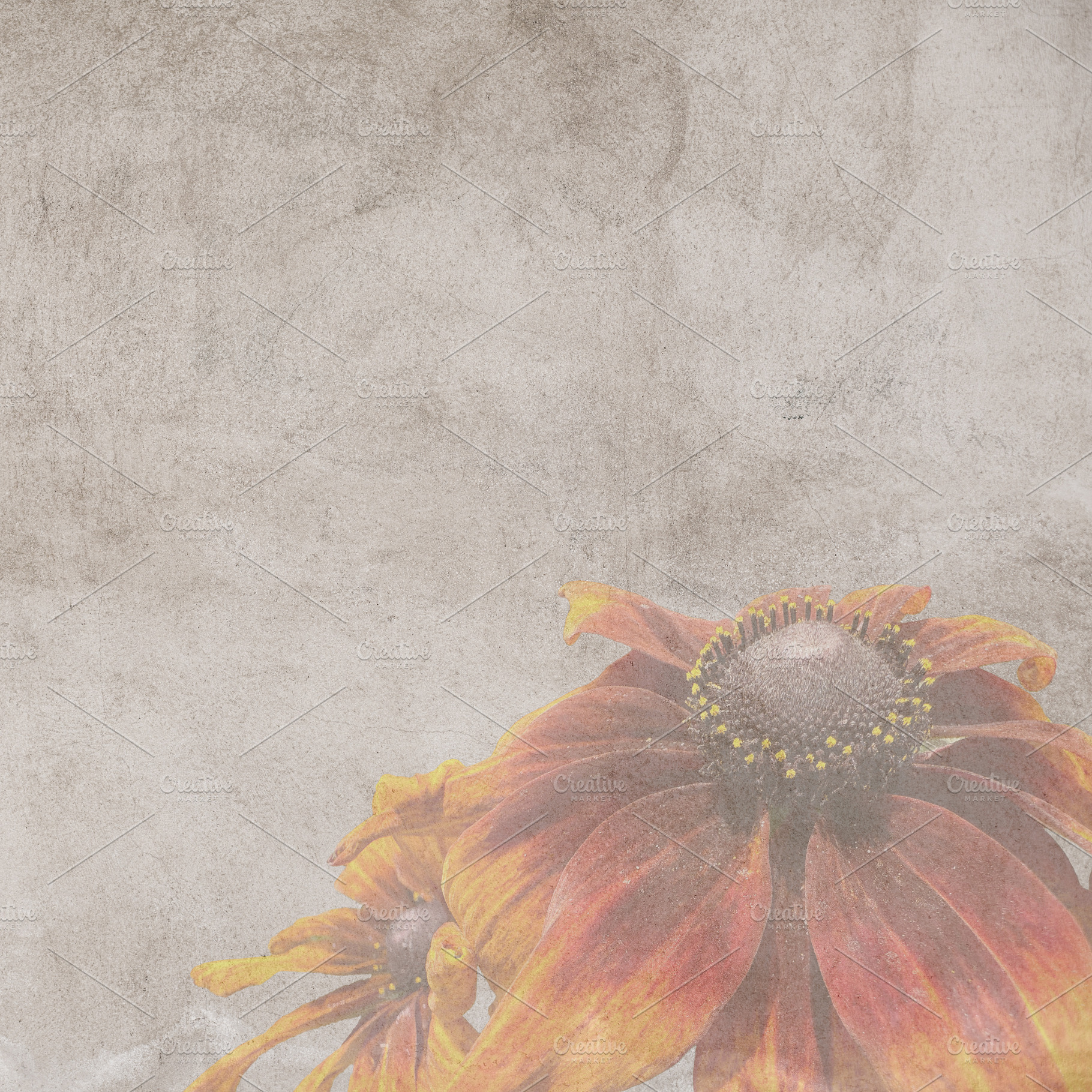 A distressed, grungy,, an Arts & Entertainment Photo by Imaginarium