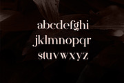 Papillon - Handcrafted Serif Font, a Serif Font by VP Fonts (Thumbnail 4 of 13)