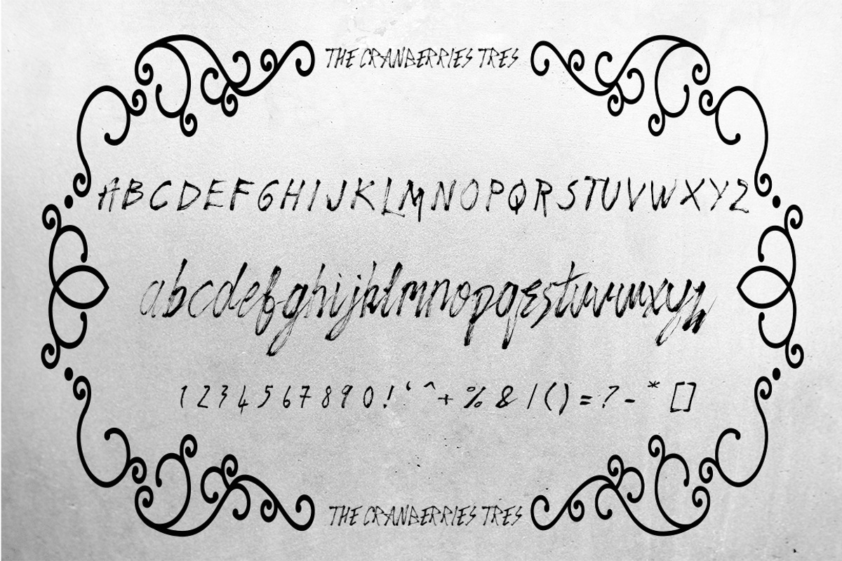 The Cranberries 3 Font, a Script Font by OnlyTheOriginaLs (Photo 9 of 9)