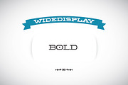 WideDisplay Bold, a Slab Serif Font by Gaslight (Thumbnail 1 of 5)