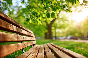 Empty park bench in sunny green garden under tree shade, a Nature Photo by AlyaAnd