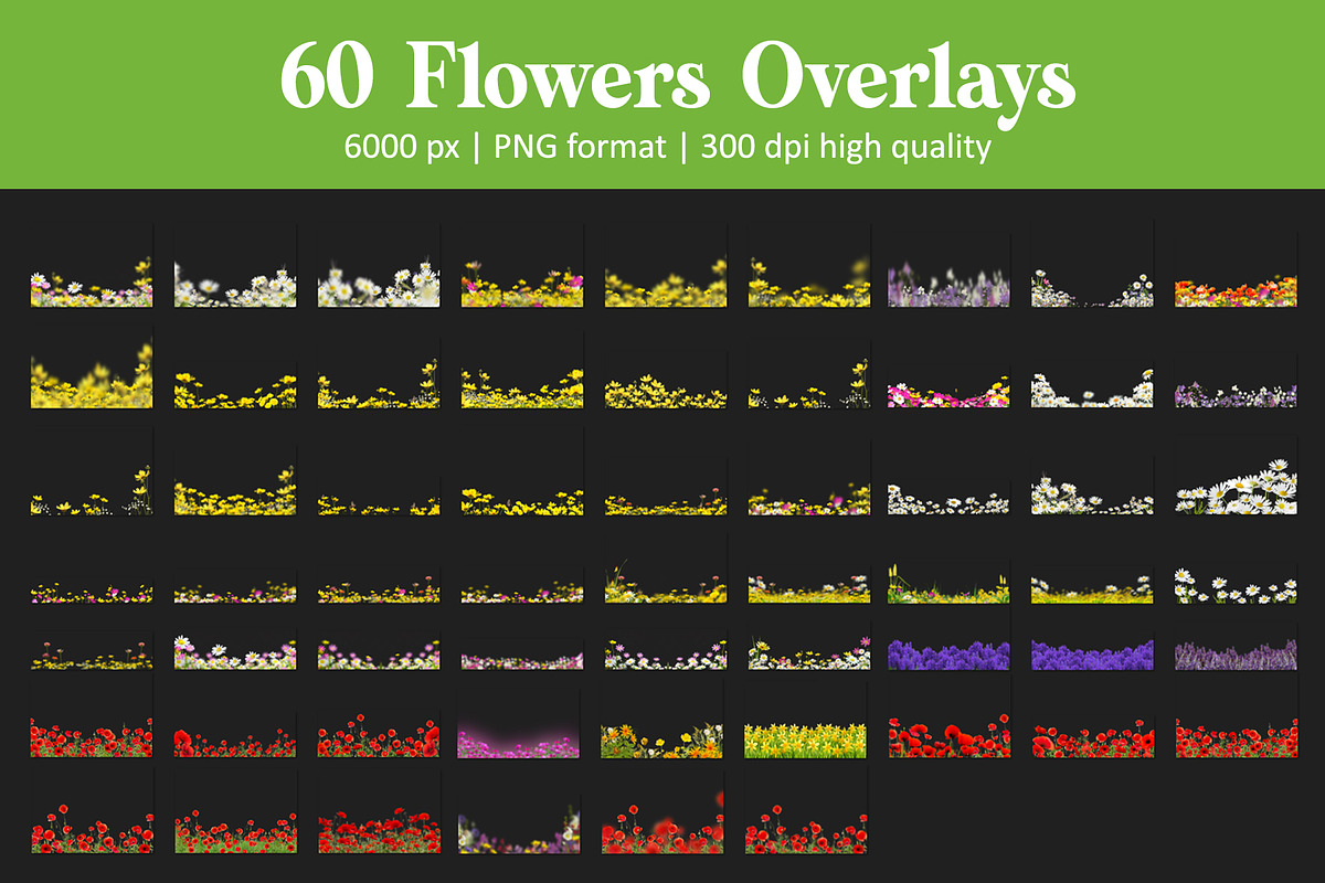 Flower Meadow Overlays, an Object Graphic by DreamyOverlay (Photo 5 of 5)