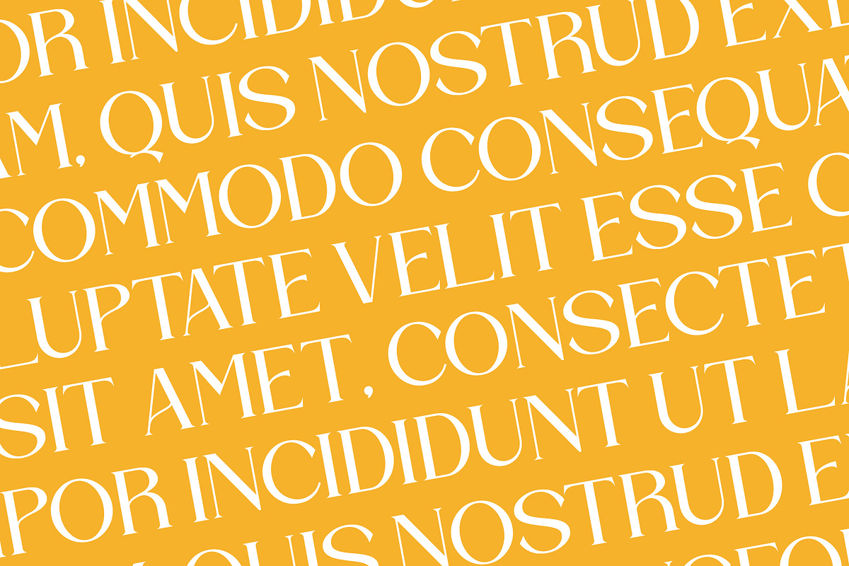 Bravillie - Serif Typeface Font, a Serif Font by Rishsketch (Photo 12 of 15)