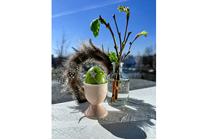 Green Easter egg in ceramic holder, a Photo by tilialucida