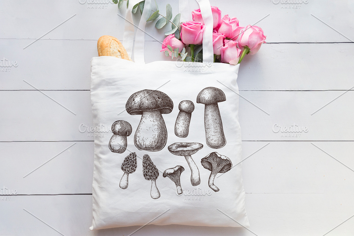 Vector Mushroom Sketches Set, a Seasonal Illustration by Yevheniia (Photo 6 of 7)